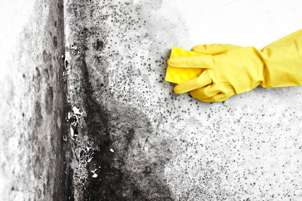 Water Damage Restoration in Madera Acres, CA