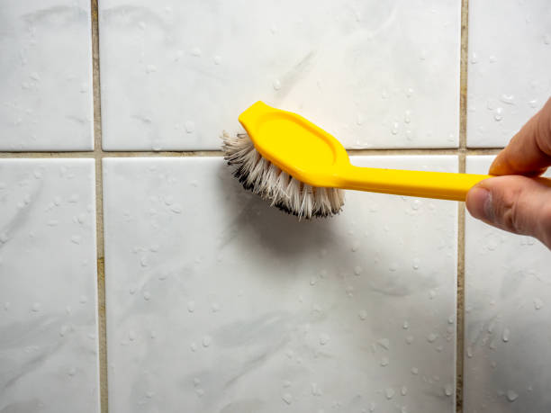 Best Mold Remediation  in Madera Acres, CA