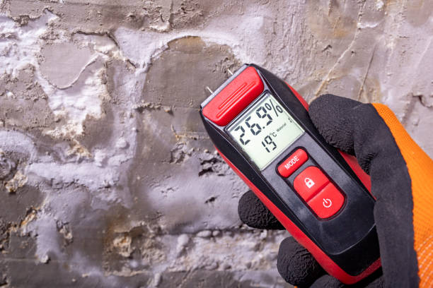 Best Office Mold Removal Services  in Madera Acres, CA