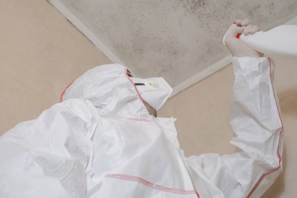Best Same-Day Mold Removal  in Madera Acres, CA