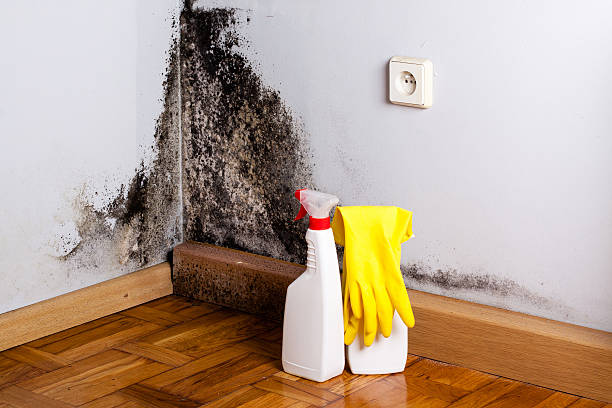 Best Mold Testing  in Madera Acres, CA